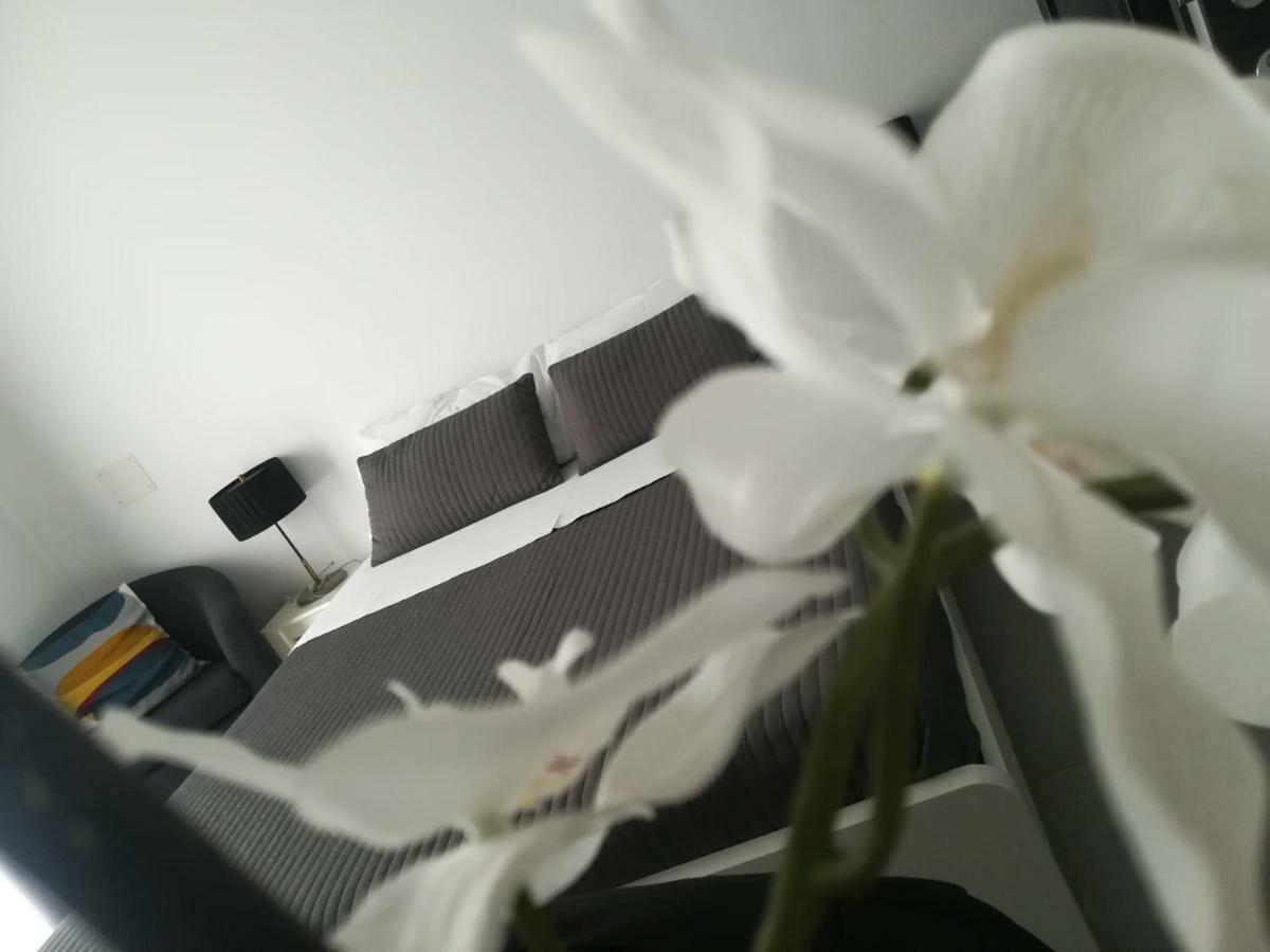 B&B Roda Barocco Noto Exteriér fotografie